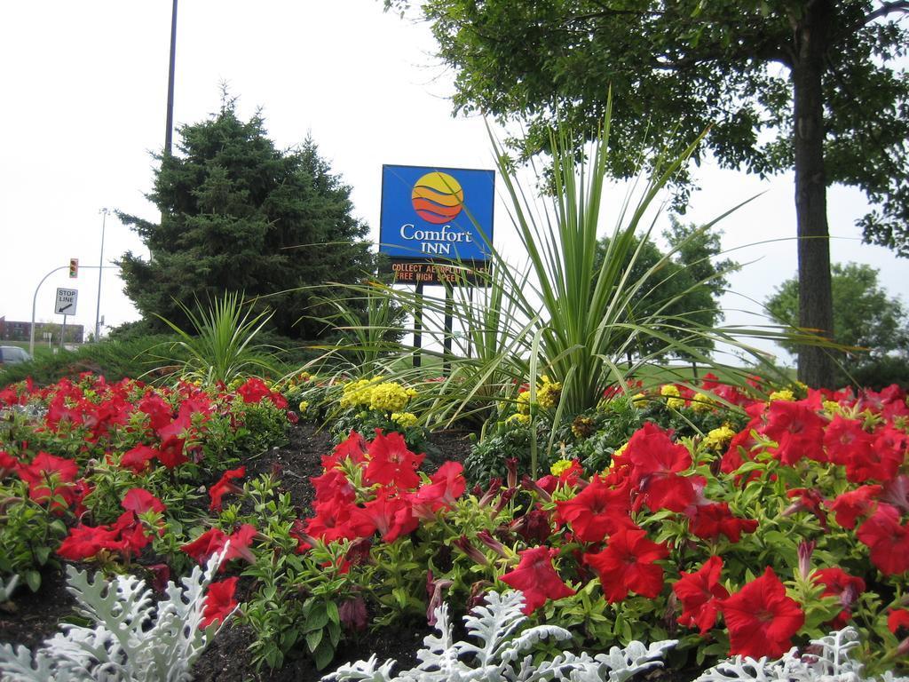 Comfort Inn South Winnipeg Kültér fotó
